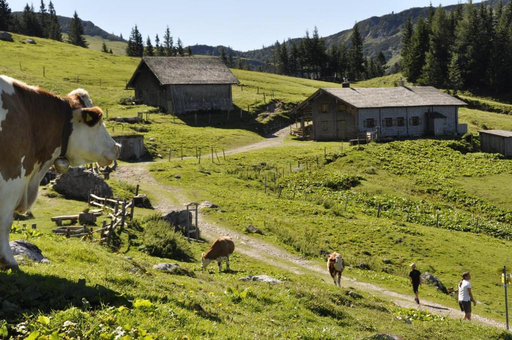 Hotel Landhaus Koller Gosau Exteriér fotografie