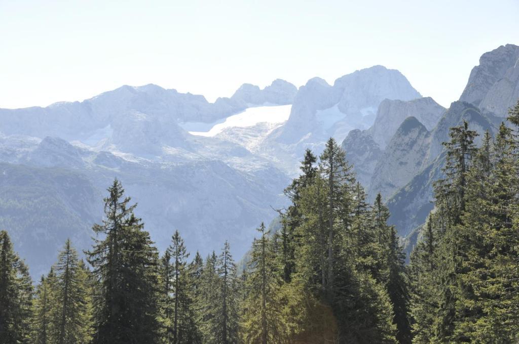 Hotel Landhaus Koller Gosau Exteriér fotografie