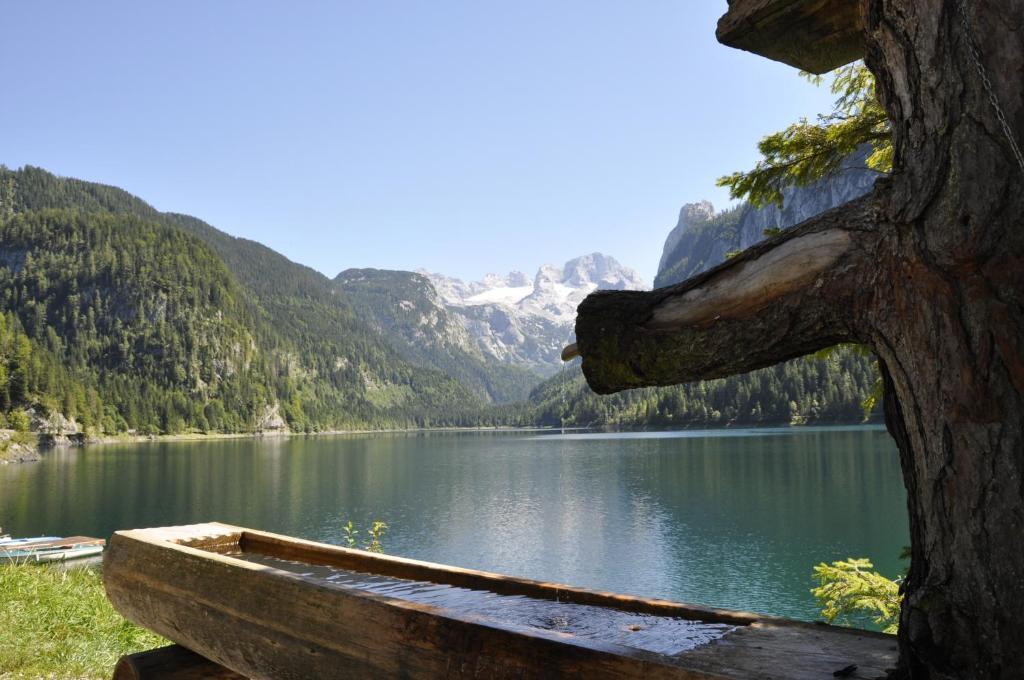 Hotel Landhaus Koller Gosau Exteriér fotografie